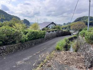 Before�@���_���ɖ΂����ʂ������������ł��B